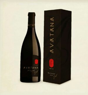 אבתנא 2018 - מבצע שני בקבוקים